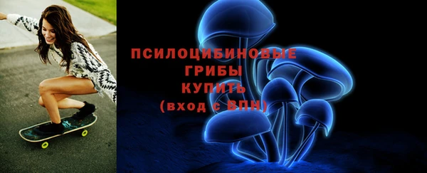 PSILOCYBIN Балахна