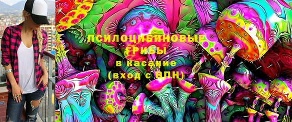 соль курить ск Белокуриха