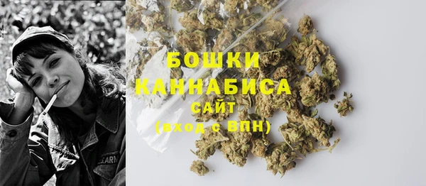 PSILOCYBIN Балахна