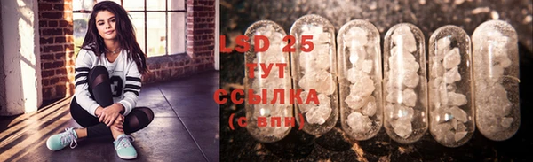 PSILOCYBIN Балахна