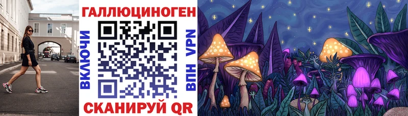 Псилоцибиновые грибы мицелий Афипский